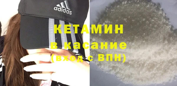 трава Карпинск