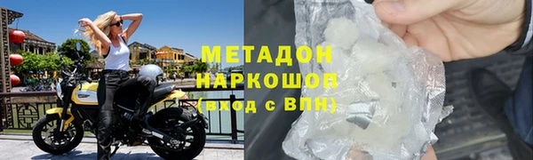 трава Карпинск