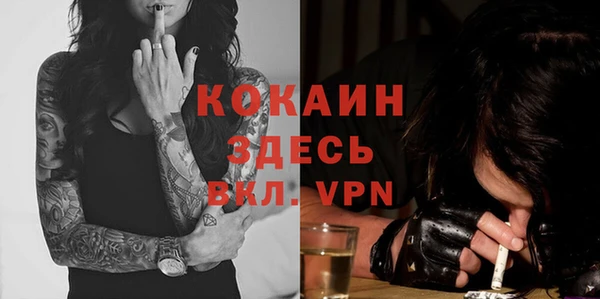 трава Карпинск