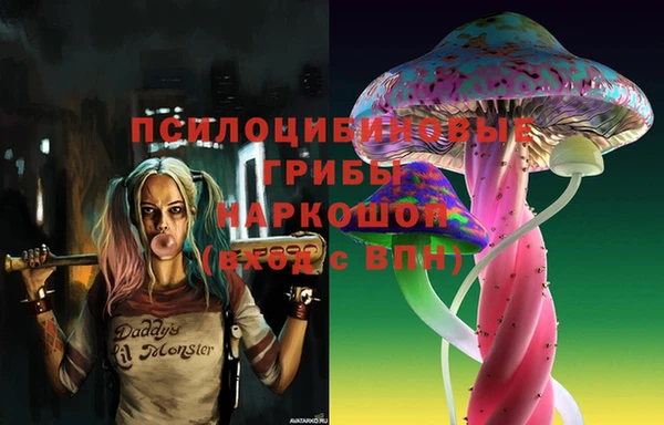 apvp Касимов