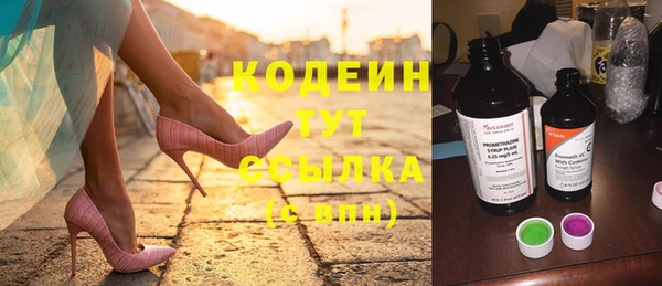 трава Карпинск