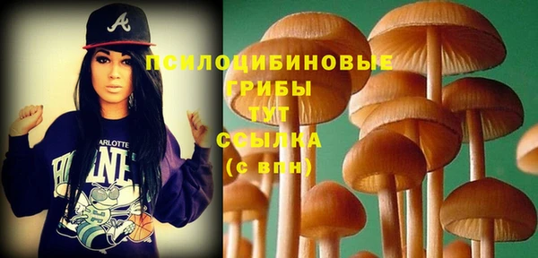 apvp Касимов