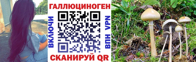 Псилоцибиновые грибы ЛСД  хочу   сайты даркнета Telegram  Новохопёрск 